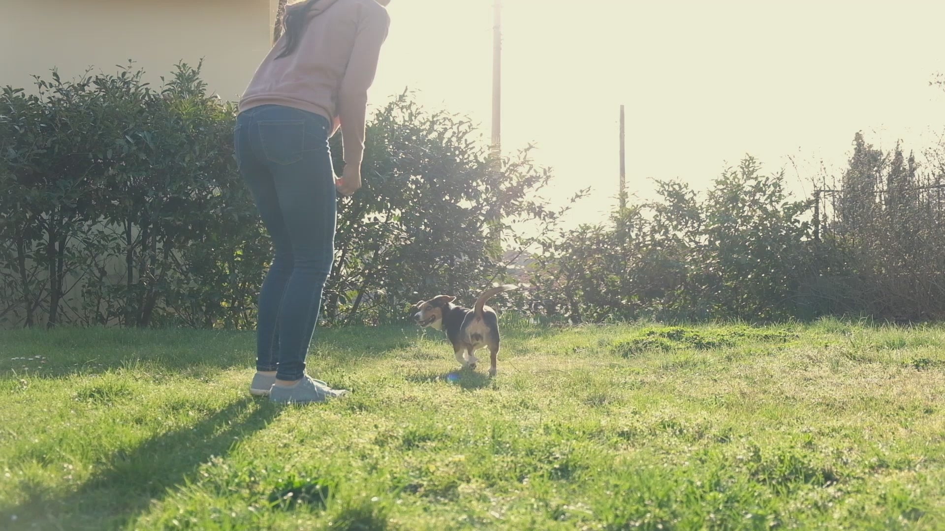 Load video: 